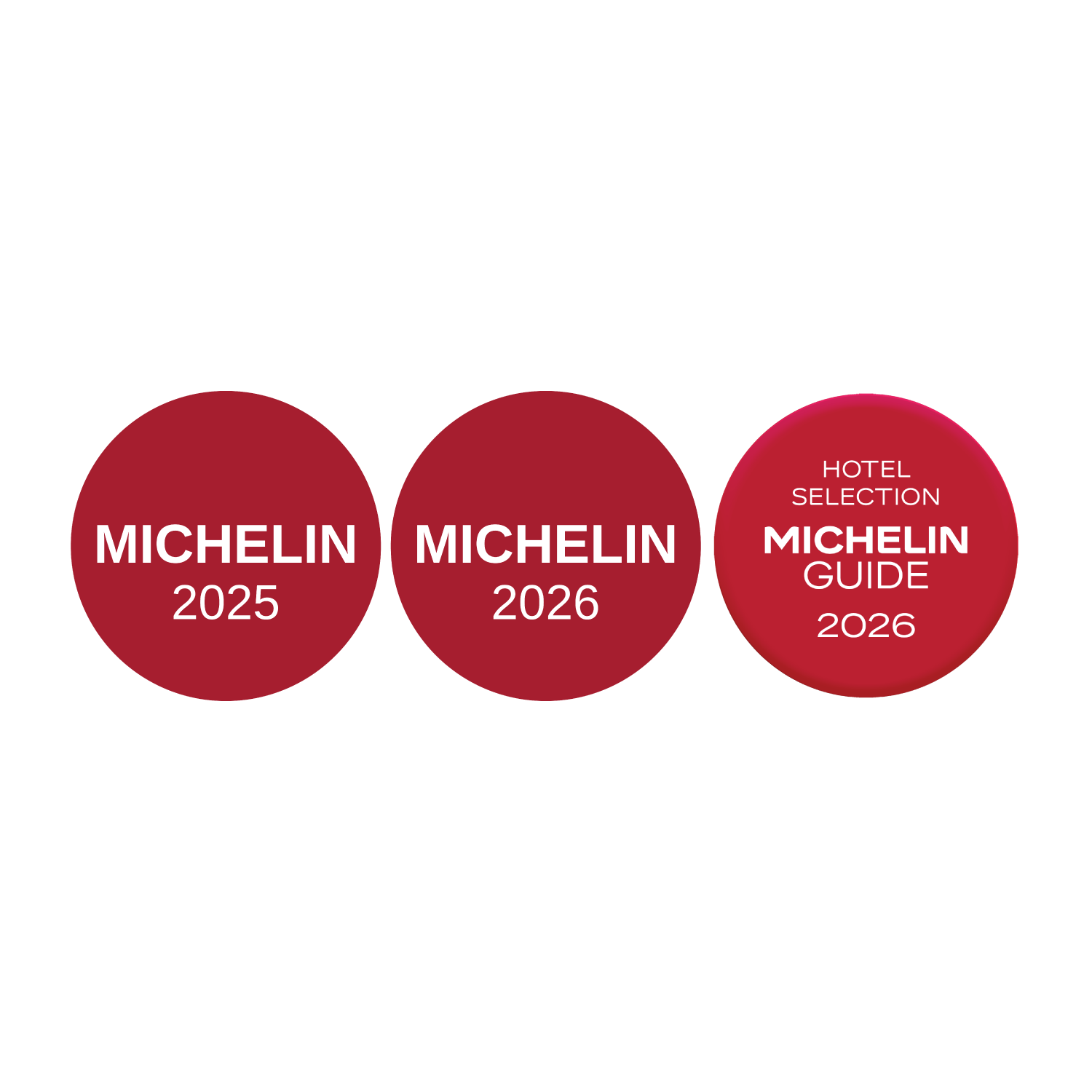Michelin-Combined