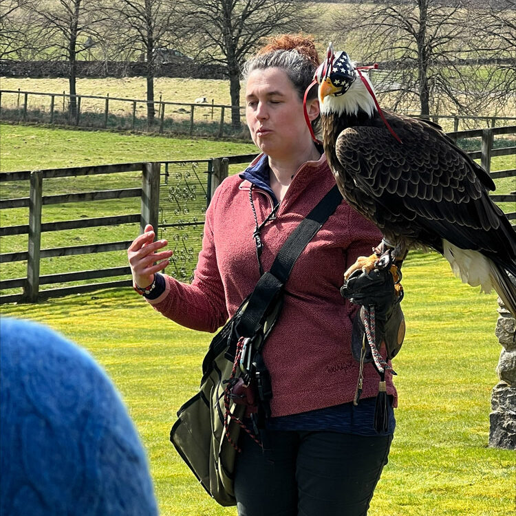 birdsofprey3